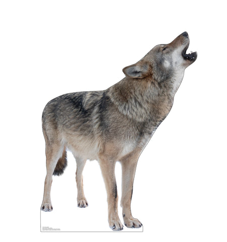 Howling Wolf Life-size Cardboard Cutout #5225
