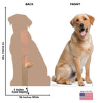 Labrador Retriever Life-size Cardboard Cutout #5230