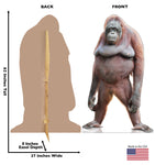 Orangutan Life-size Cardboard Cutout #5235