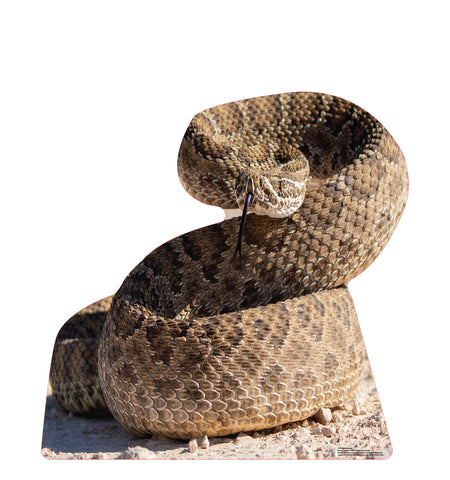 Rattlesnake Life-size Cardboard Cutout #5239