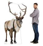 Reindeer Life-size Cardboard Cutout #5245