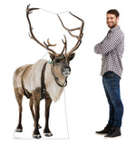 Reindeer Life-size Cardboard Cutout #5245 Gallery Image