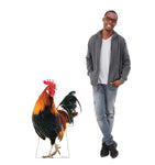 Life-Size Rooster Life-size Cardboard Cutout #5249