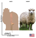 Wooly White Sheep Life-size Cardboard Cutout #5252