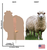 Wooly White Sheep Life-size Cardboard Cutout #5252 Gallery Image