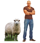 Wooly White Sheep Life-size Cardboard Cutout #5252
