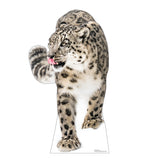 Snow Leopard Life-size Cardboard Cutout #5255 Gallery Image