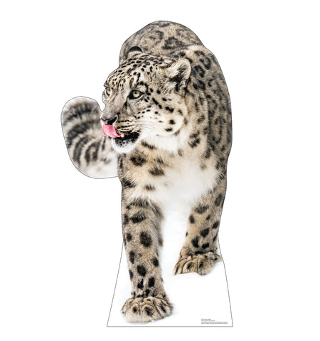 Snow Leopard Life-size Cardboard Cutout #5255