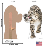 Snow Leopard Life-size Cardboard Cutout #5255 Gallery Image