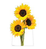 Sunflowers Life-size Cardboard Cutout #5261 Gallery Image
