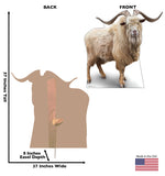 Wild Mountain Goat Life-size Cardboard Cutout #5265 Gallery Image