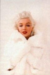 Marilyn Mink Poster