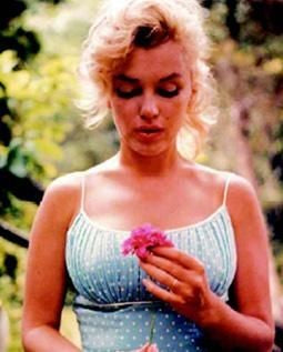 Marilyn Monroe, Garden Poster