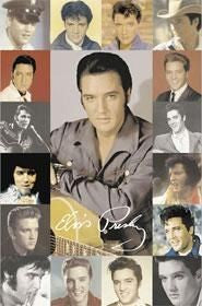 Faces of Elvis Poster