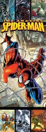 The Amazing Spider-Man Door Poster