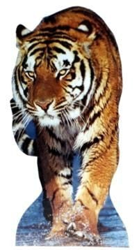 Tiger Cutout #230