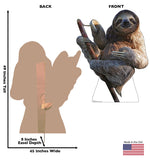 a sloth Cardboard Cutout *3007 Gallery Image