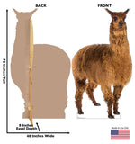 Llama Cardboard Cutout *3010 Gallery Image