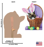 Grumpy Cat Easter Cardboard Cutout *3050 Gallery Image