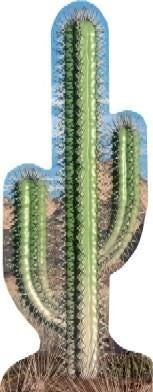 Cactus Cutout 583