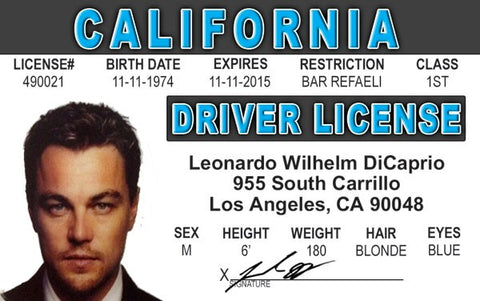 Leonardo DiCaprio Novelty Driver License