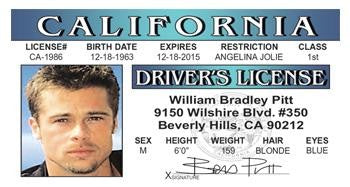Brad Pitt Novelty Driver License