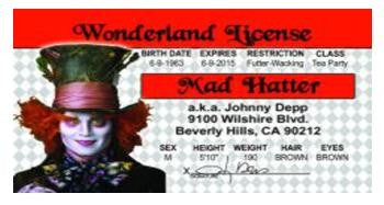 Johnny Depp Mad Hatter Driver License