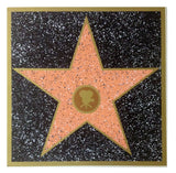Customizable Walk of Fame Star Gallery Image