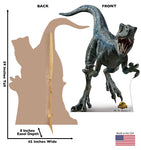 Blue Jurassic World Dominion Life-size Cardboard Cutout #3781