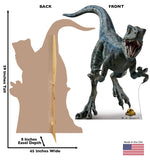 Blue Jurassic World Dominion Life-size Cardboard Cutout #3781 Gallery Image