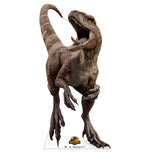 Red Jurassic World Dominion Life-size Cardboard Cutout #3787 Gallery Image