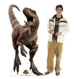 Red Jurassic World Dominion Life-size Cardboard Cutout #3787 Gallery Image