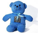 Blue Hollywood Teddy Bear