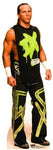 Shawn Michaels WWE Cutout 636