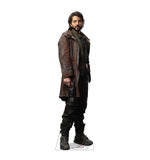 Cassian Andor Cutout from Star Wars Andor #3946 Gallery Image