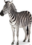 Zebra Lifesize cutout #1479