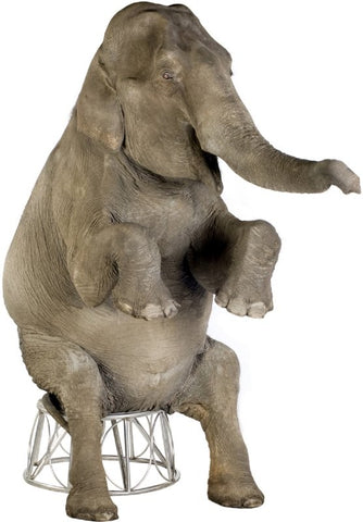 Asian Elephant Lifesize cutout #1480