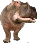 Hippopotamus Lifesize cutout #1484