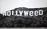 Hollyweed Poster Gallery Image