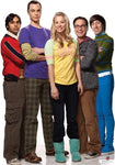 Group from TV show Big Bang Theory Lifesize cardboard cutout #1414