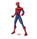 Spider-Man Cardboard Cutout #2481