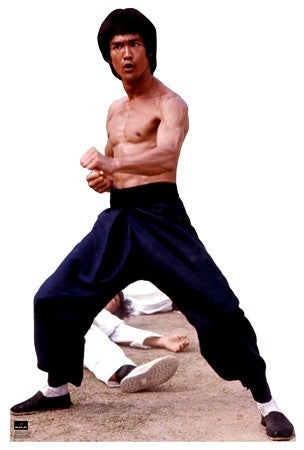 Bruce Lee #1043 standup