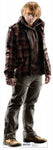 Ron Weasley Cutout #1049