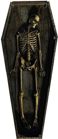 Skeleton Casket Standup #1165